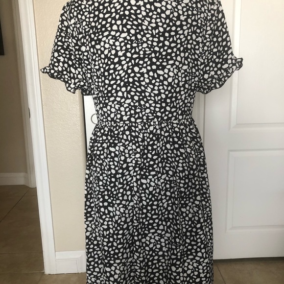 Button Dalmatian Print Dress - Picture 8 of 8
